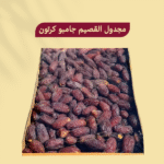 مجدول القصيم جامبو كرتون فيه